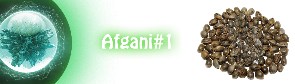 Премиум каталог семен